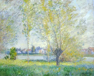 Piletræer ved Vetheuil, 1880